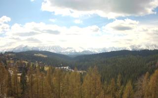 Bukovina - Panorama - 28-04-2026 09:15