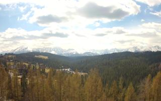 Bukovina - Panorama - 28-04-2026 09:22