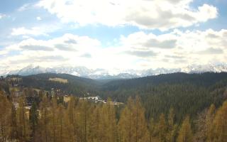 Bukovina - Panorama - 28-04-2026 09:36