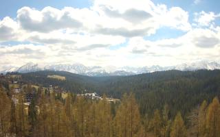 Bukovina - Panorama - 28-04-2026 10:04