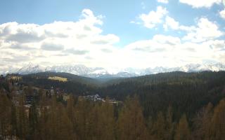Bukovina - Panorama - 28-04-2026 10:11