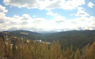 Bukovina - Panorama - 28-04-2026 10:18