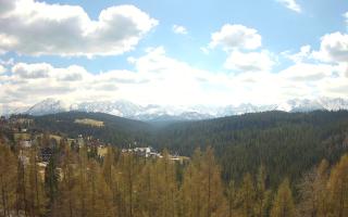 Bukovina - Panorama - 28-04-2026 10:25