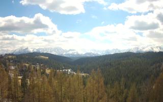 Bukovina - Panorama - 28-04-2026 10:32