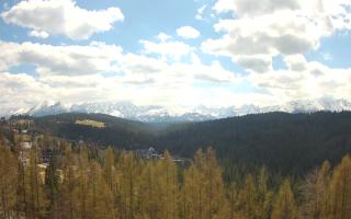 Bukovina - Panorama - 28-04-2026 10:54