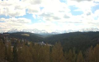 Bukovina - Panorama - 28-04-2026 11:15