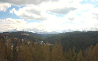 Bukovina - Panorama - 28-04-2026 11:22