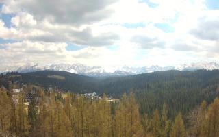 Bukovina - Panorama - 28-04-2026 11:36