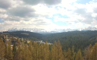Bukovina - Panorama - 28-04-2026 11:50