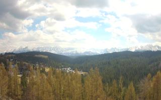 Bukovina - Panorama - 28-04-2026 12:04