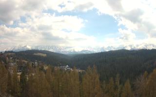 Bukovina - Panorama - 28-04-2026 12:18