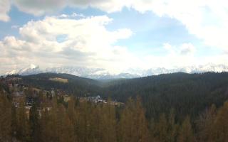 Bukovina - Panorama - 28-04-2026 12:25
