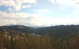 Bukovina - Panorama - 28-04-2026 12:32