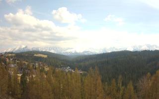 Bukovina - Panorama - 28-04-2026 12:46