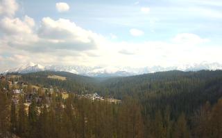 Bukovina - Panorama - 28-04-2026 12:53