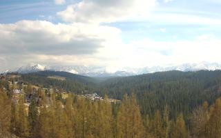 Bukovina - Panorama - 28-04-2026 13:07