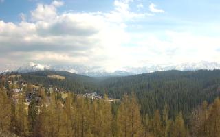 Bukovina - Panorama - 28-04-2026 13:14
