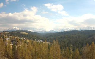 Bukovina - Panorama - 28-04-2026 13:28