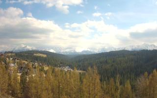Bukovina - Panorama - 28-04-2026 13:35