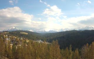 Bukovina - Panorama - 28-04-2026 13:42