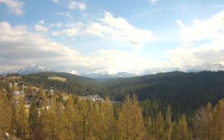 Bukovina - Panorama - 28-04-2026 13:57