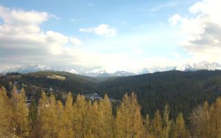 Bukovina - Panorama - 28-04-2026 14:11