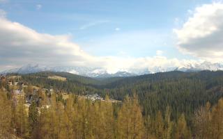 Bukovina - Panorama - 28-04-2026 14:18