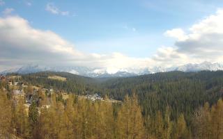 Bukovina - Panorama - 28-04-2026 14:25