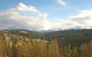 Bukovina - Panorama - 28-04-2026 14:39