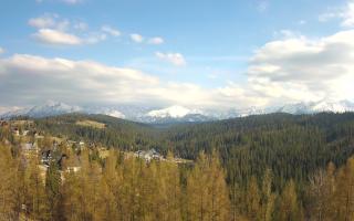 Bukovina - Panorama - 28-04-2026 14:53