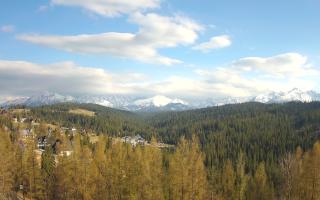 Bukovina - Panorama - 28-04-2026 15:14