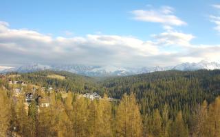 Bukovina - Panorama - 28-04-2026 16:00