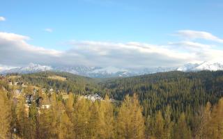 Bukovina - Panorama - 28-04-2026 16:14