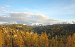 Bukovina - Panorama - 28-04-2026 17:04