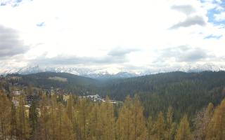 Bukovina - Panorama - 01-05-2026 10:19