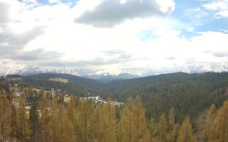 Bukovina - Panorama - 01-05-2026 10:26