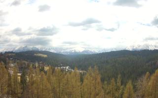 Bukovina - Panorama - 01-05-2026 10:33