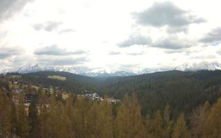 Bukovina - Panorama - 01-05-2026 10:40