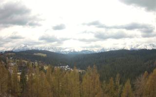 Bukovina - Panorama - 01-05-2026 10:47