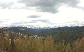 Bukovina - Panorama - 01-05-2026 11:01
