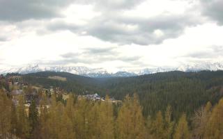 Bukovina - Panorama - 01-05-2026 11:08