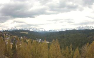 Bukovina - Panorama - 01-05-2026 11:16