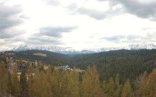 Bukovina - Panorama - 01-05-2026 11:23