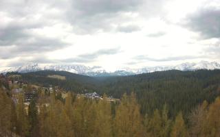 Bukovina - Panorama - 01-05-2026 11:30