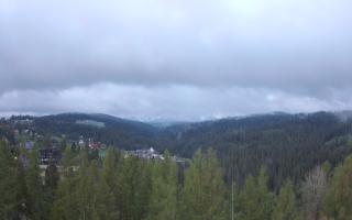 Bukovina - Panorama - 13-05-2026 02:48