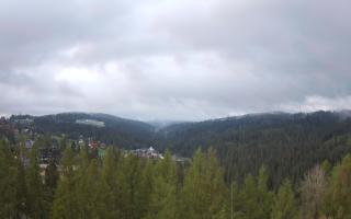 Bukovina - Panorama - 13-05-2026 02:55