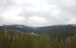 Bukovina - Panorama - 13-05-2026 03:16