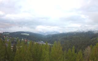 Bukovina - Panorama - 13-05-2026 03:37