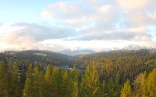 Bukovina - Panorama - 13-05-2026 03:51