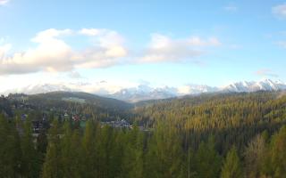 Bukovina - Panorama - 13-05-2026 04:05